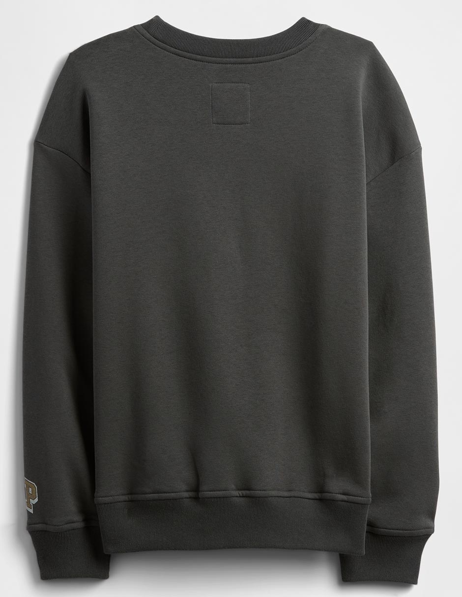 Sudadera Disney Mickey Mouse para niño