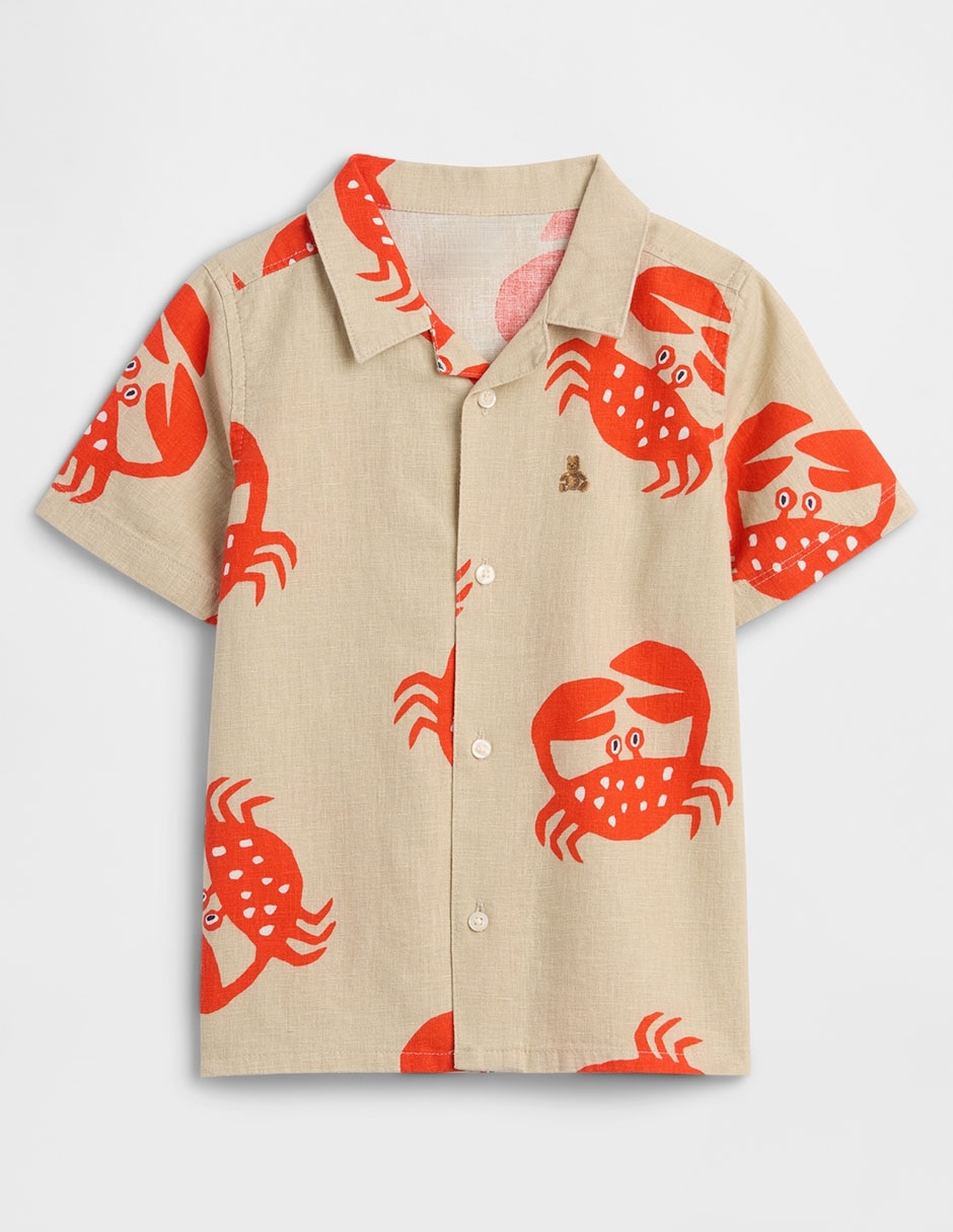 Camisa Camisa