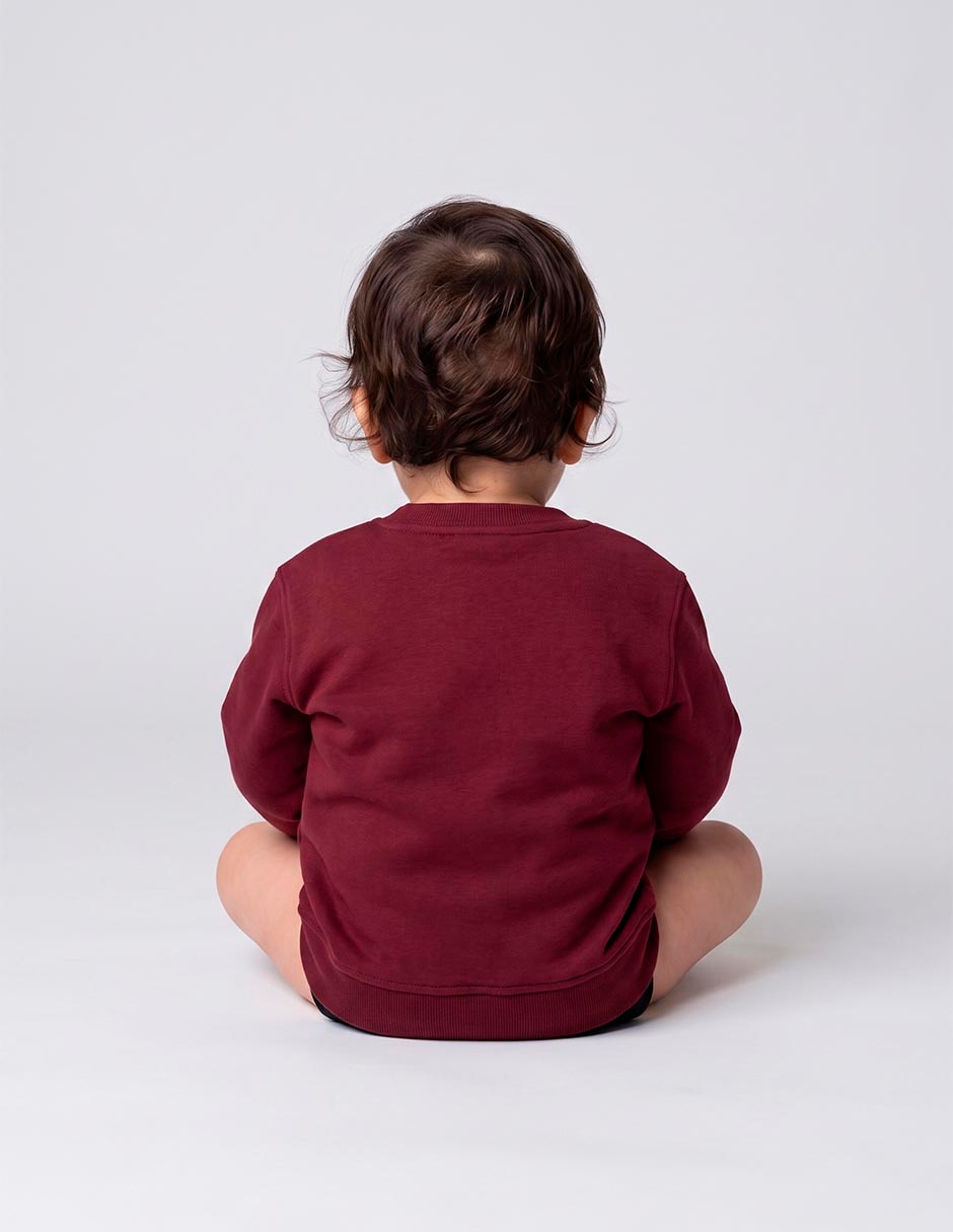 Sudadera para niño 2